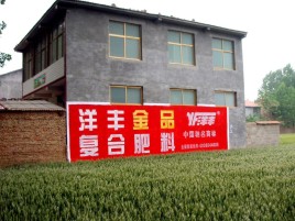 威远如何让墙体广告展现最大化效果