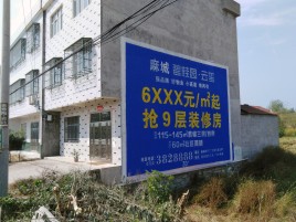 威远墙体广告质量分析