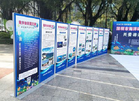 威远KT板的种类和知识。